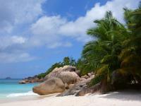 Palmen und Felsen am Westende Anse Lazio - Praslin